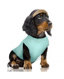 Sandia T-Shirt for dogs - Milk&Pepper