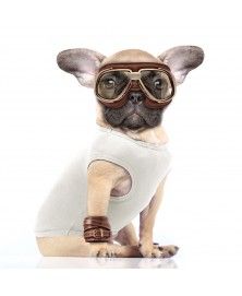 T-Shirt Panda Racer pour chiens - Milk&Pepper