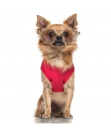 T-Shirt Bubble pour chiens - Milk&Pepper