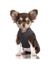 Happy T-Shirt for dogs - Milk&Pepper