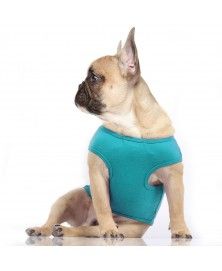 Comics T-shirt for dogs - Milk&Pepper