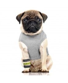 T-Shirt Tiger gris pour chiens - Milk&Pepper