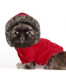 Comet Red sweat for dog - Milk&Pepper