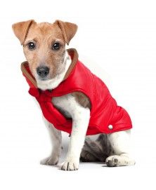 Manteau Campus pour chiens - Milk&Pepper