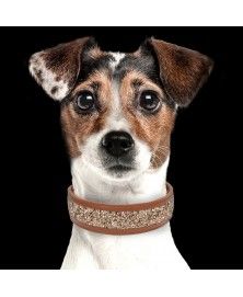 Quartz Collar for dogs - Milk&Pepper