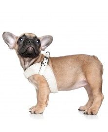 Milk&Pepper Dandy dog's Harness