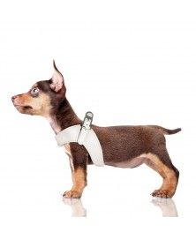 Harnais Parachute Dandy ivoire pour chien Milk&Pepper