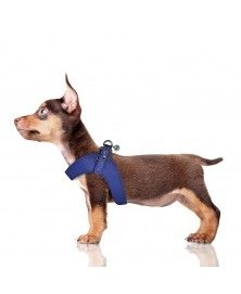 Harnais Parachute Dandy bleu pour chien - Milk&Pepper