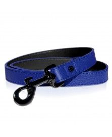Laisse Dandy bleu pour chien Milk&Pepper