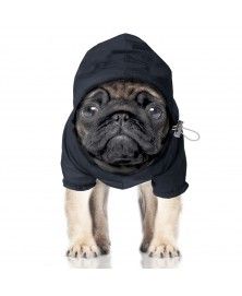 Imperméable Winch pour chien  - Milk&Pepper