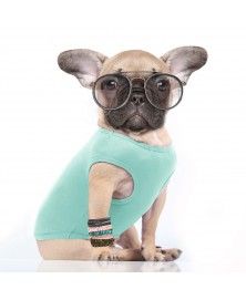 T-Shirt Toucan pour chien Milk&Pepper