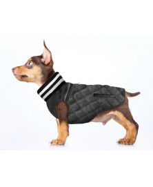 Veste pour chien Teddy - Milk&Pepper