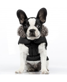 Fjord dog coat - Milk&Pepper