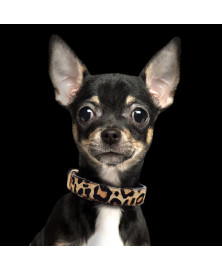Collier en cuir pour chien Léopard - Milk&Pepper