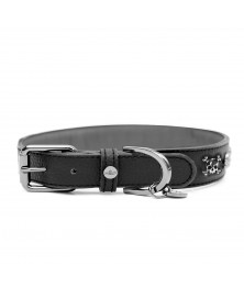 Calavera Leather Dog Collar - Milk&Pepper