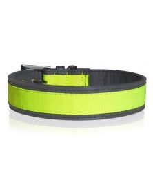 Collier Néon Jaune pour chiens - Milk&Pepper