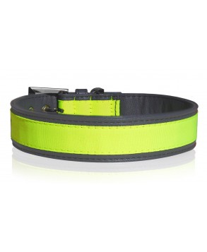 Collier Néon Jaune pour chiens - Milk&Pepper