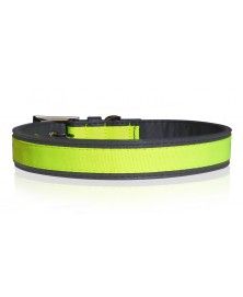 Collier Néon Jaune pour chiens - Milk&Pepper