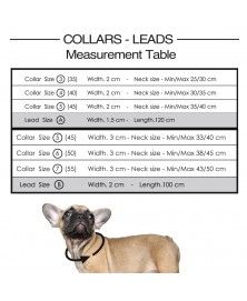 Guide des tailles colliers pour chiens - Milk&Pepper