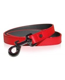 Leash Smart Red - Milk&Pepper