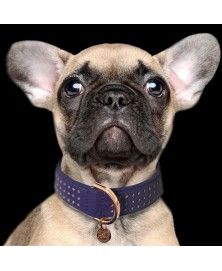 Collar Amaya Indigo - Milk&Pepper