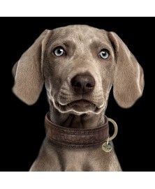 Collar Hogan Brown - Milk&Pepper