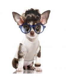 T-Shirt Pool Blue - Milk&Pepper