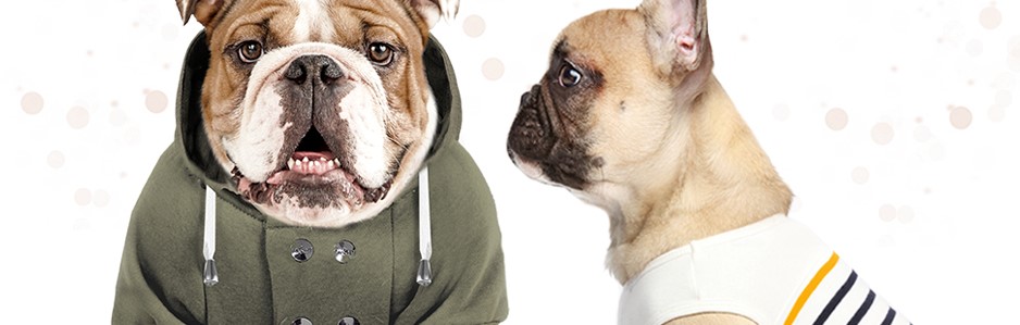 Milk&Pepper Bouledogue